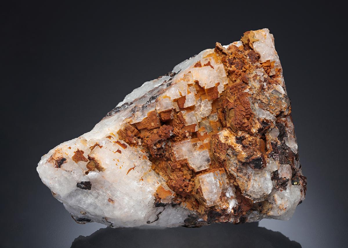 CC28123 specimen image