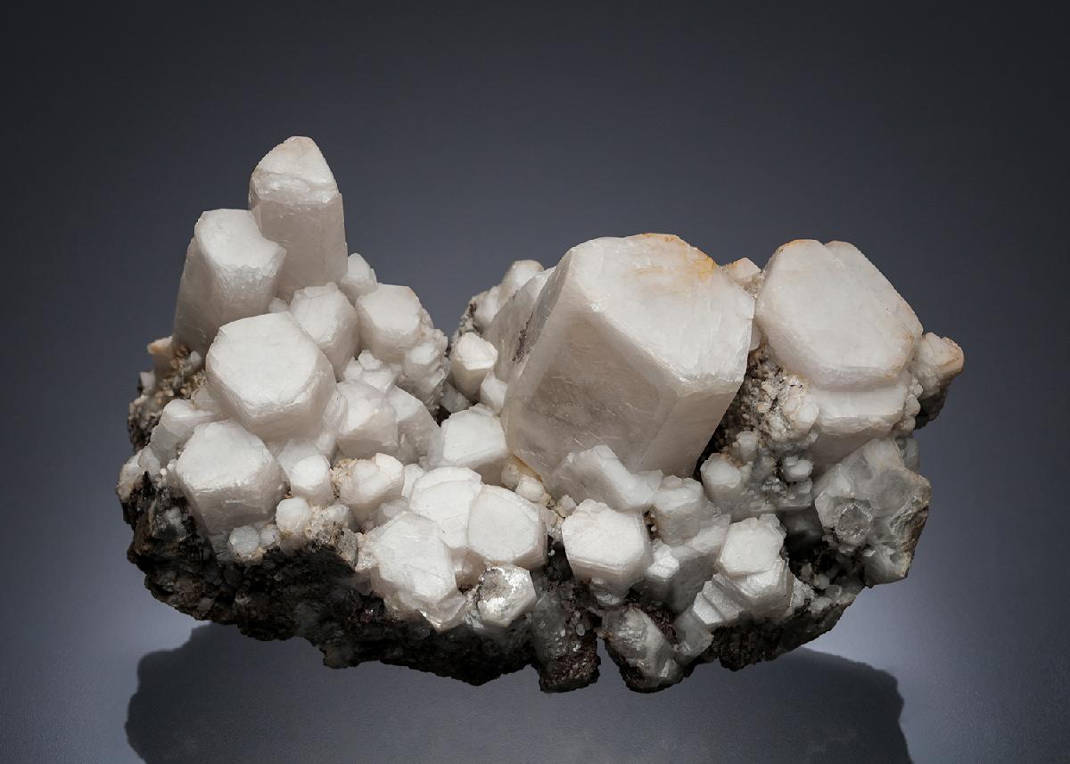 CC28125 specimen image
