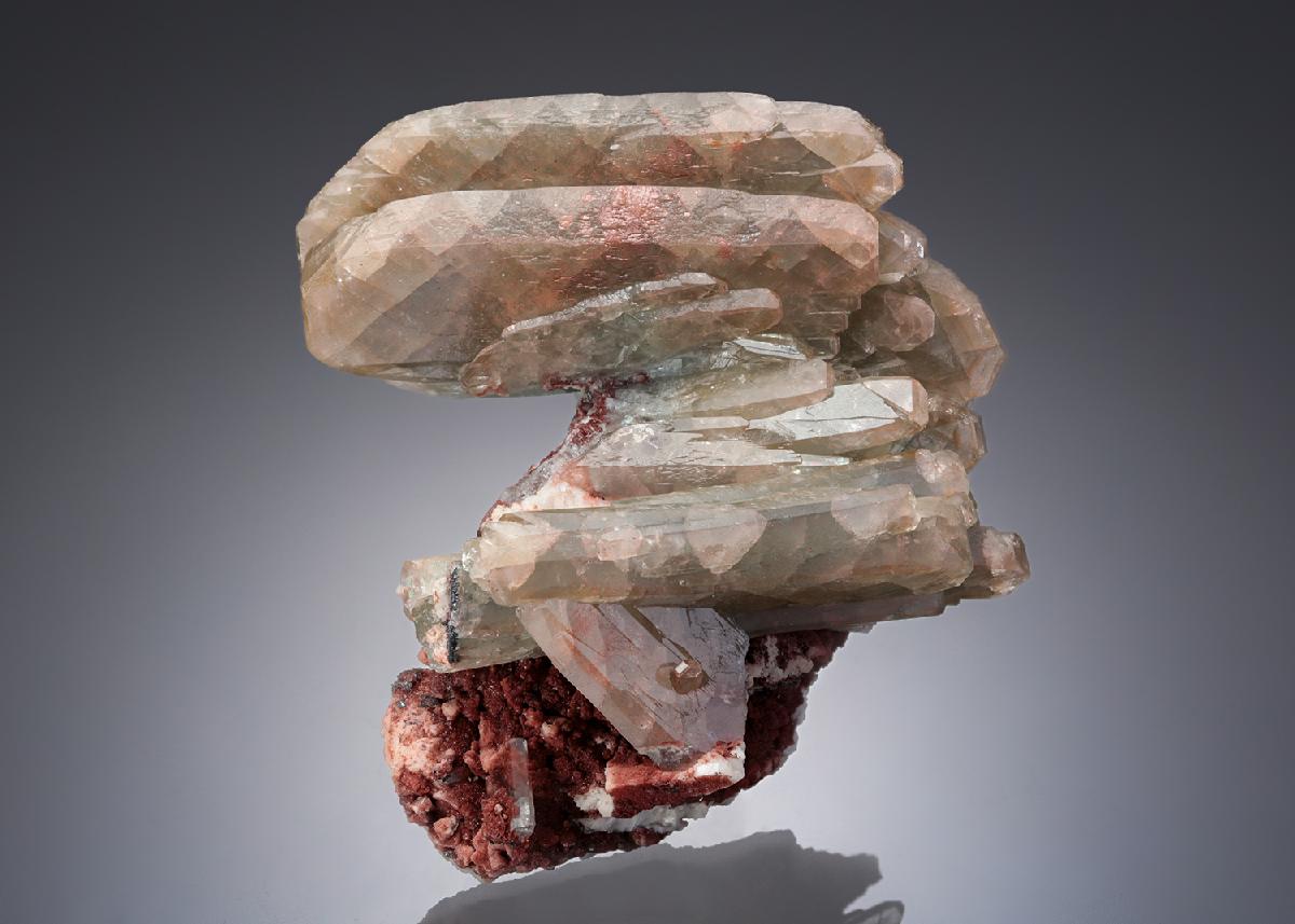 CC28129 specimen image