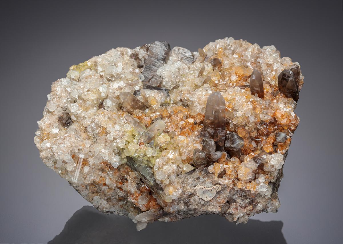 CC28133 specimen image
