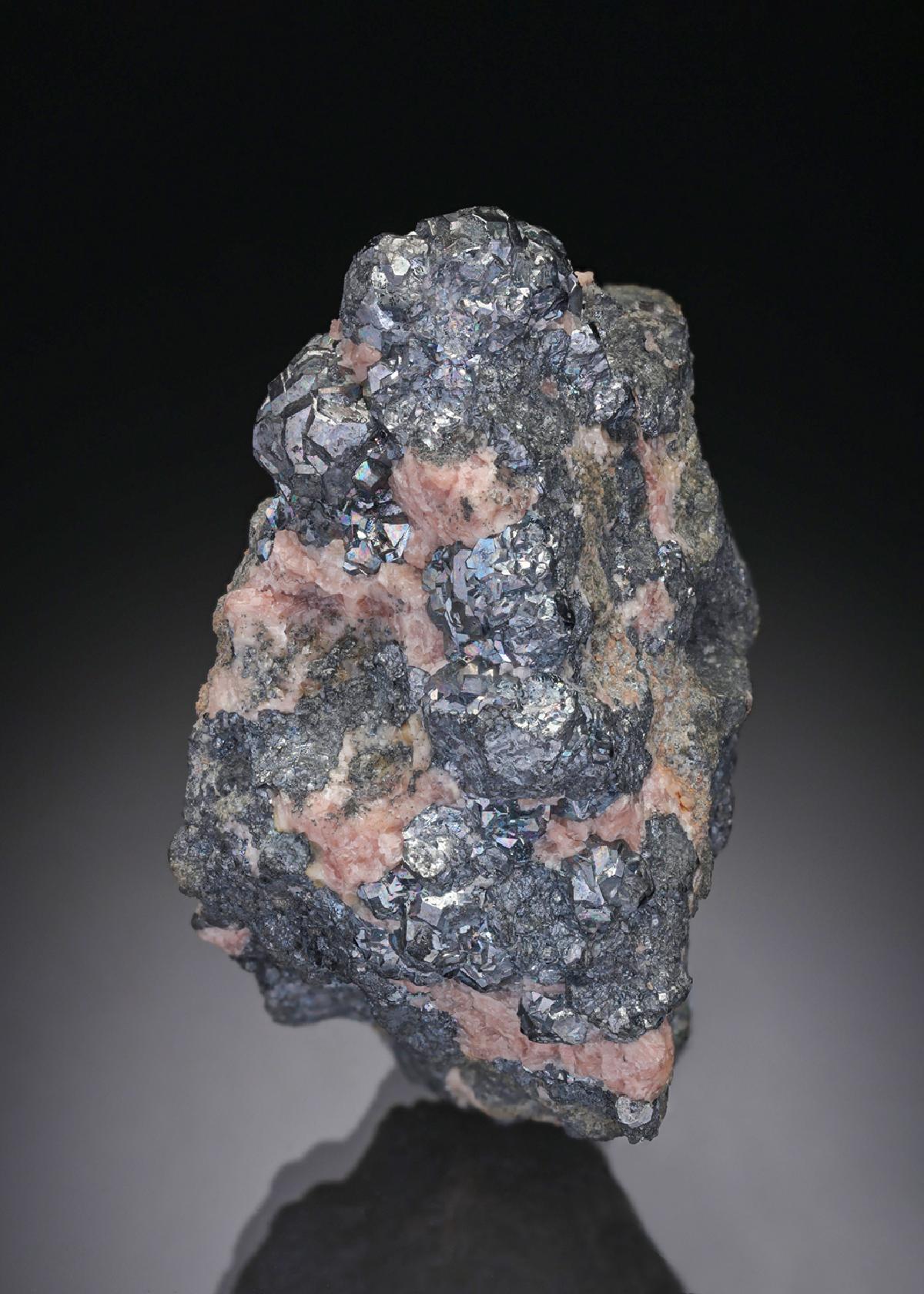 CC28143 specimen image