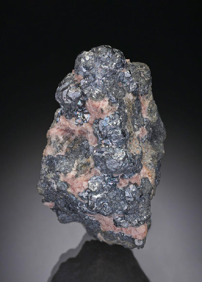 CC28143 specimen image