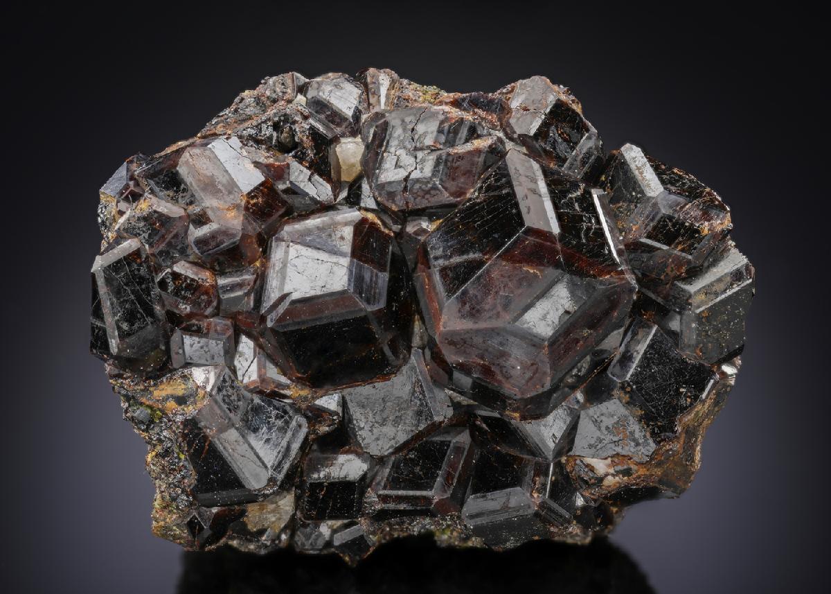 CC28165 specimen image