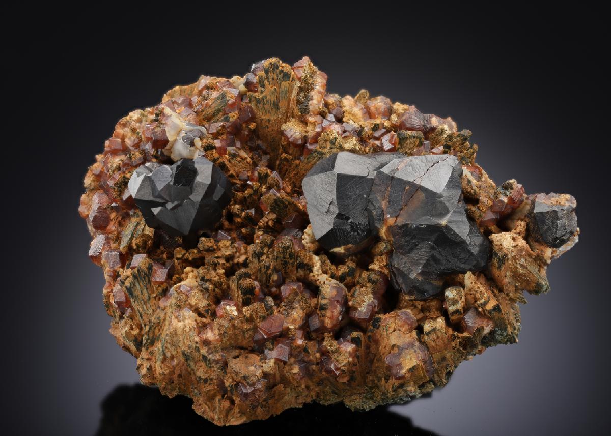 CC28169 specimen image