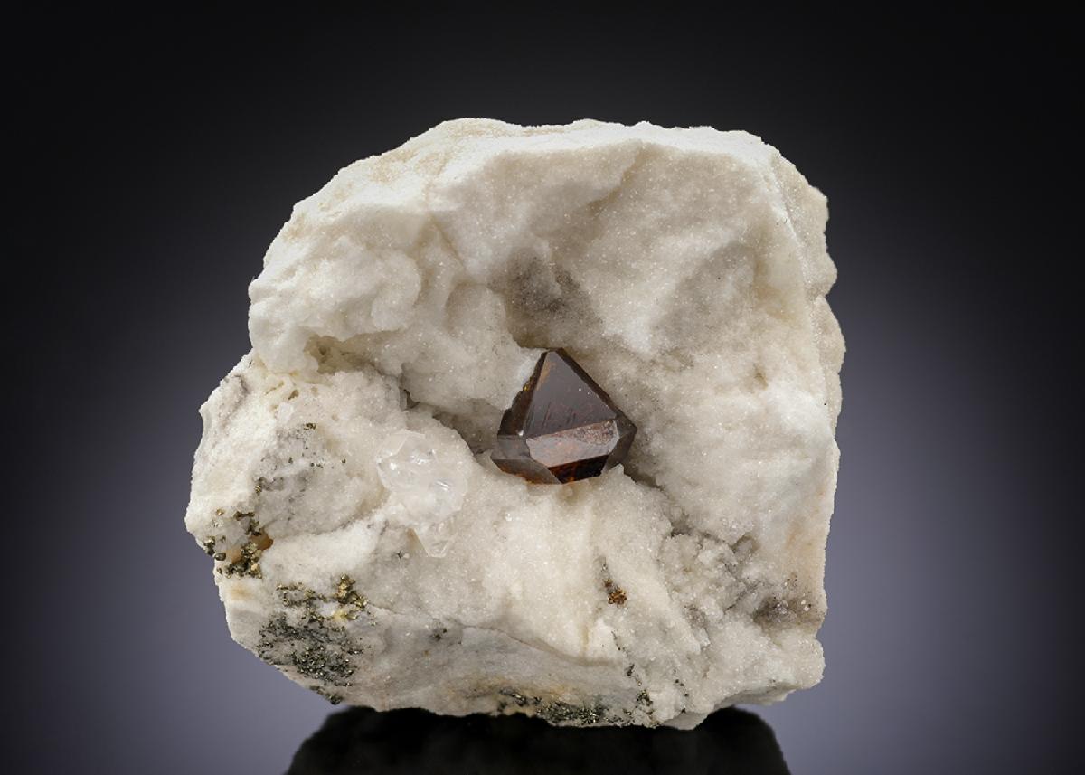 CC28173 specimen image
