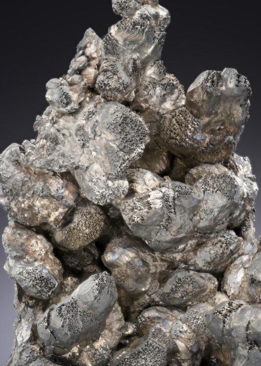 CC28183 specimen image