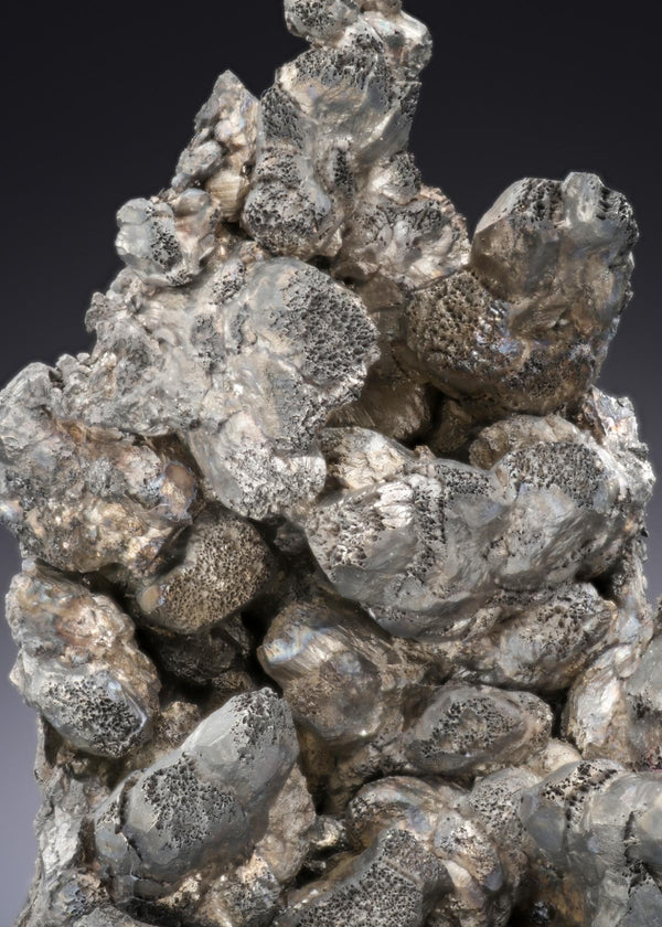 CC28183 specimen image