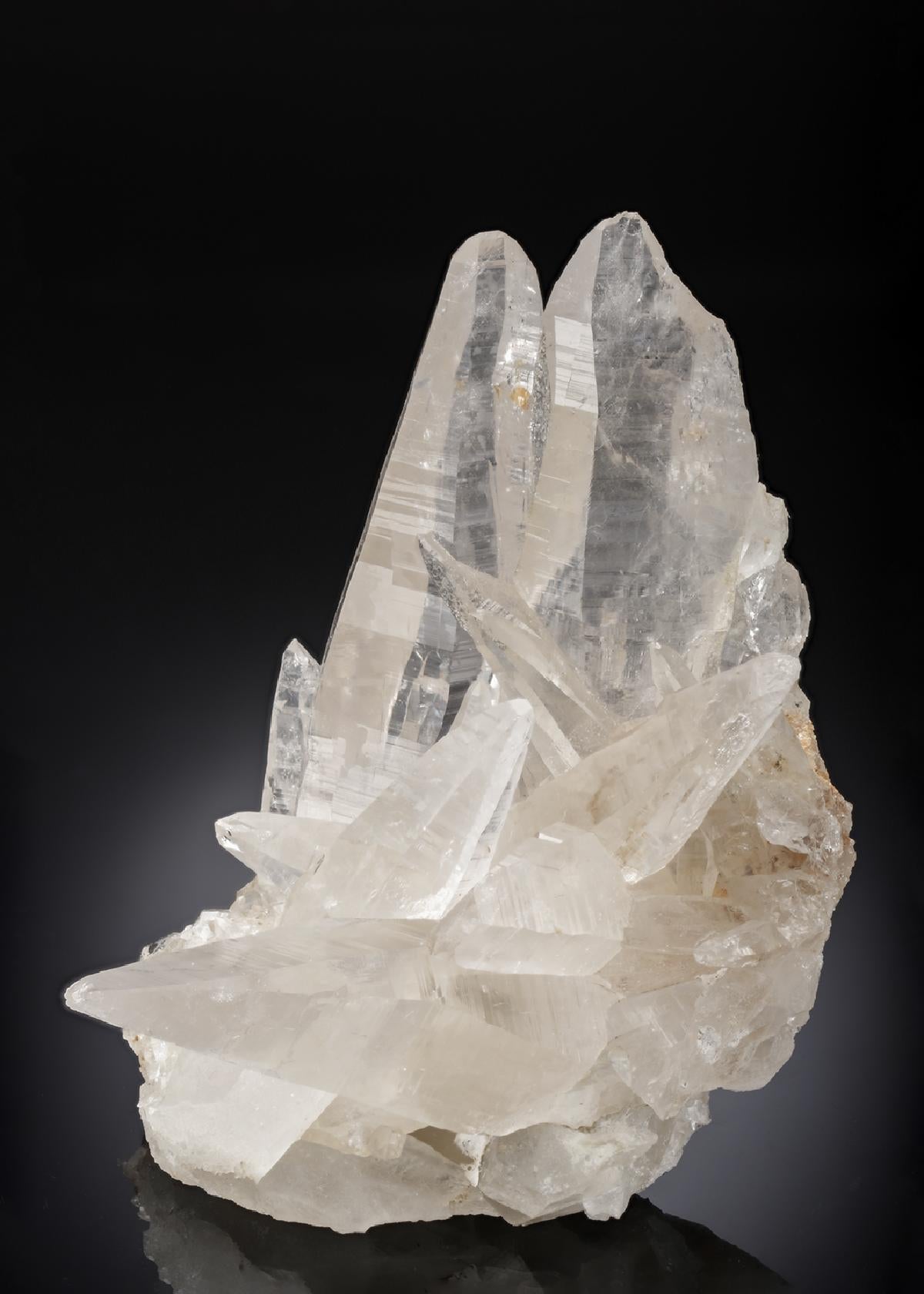 CC28187 specimen image