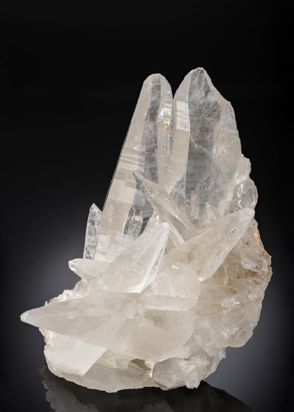 CC28187 specimen image