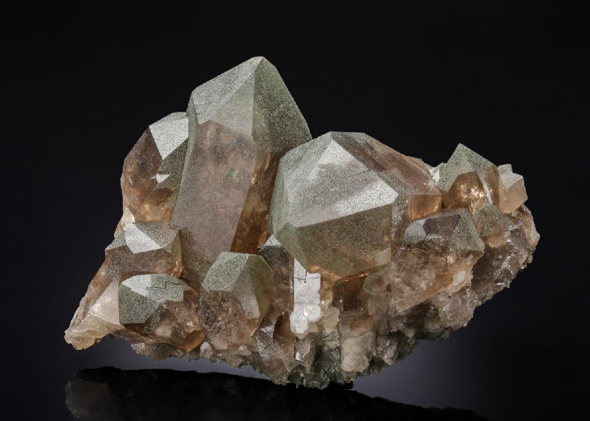 CC28189 specimen image