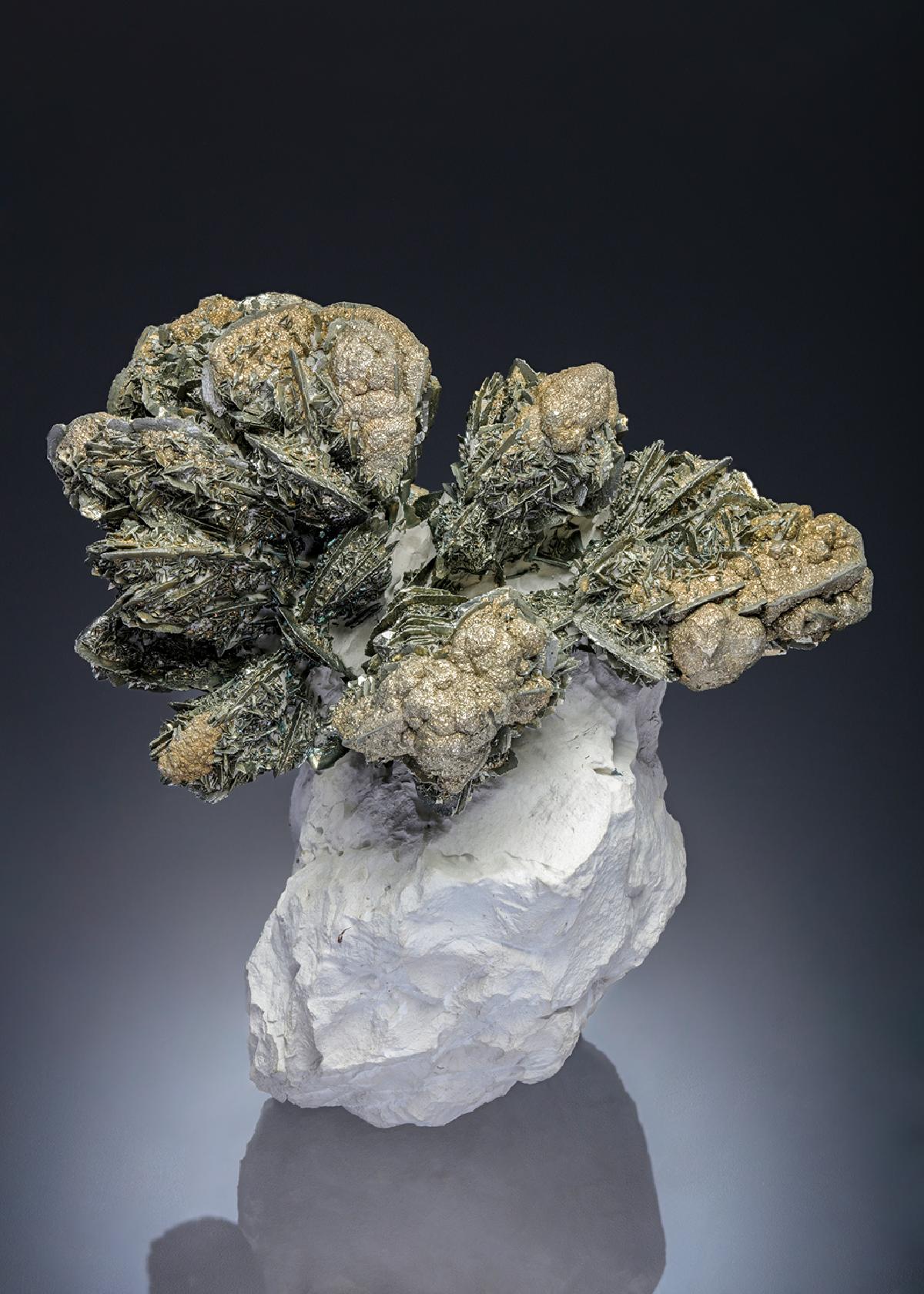 CC28193 specimen image