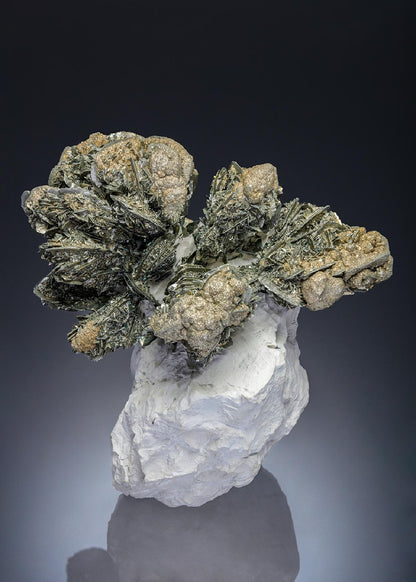 CC28193 specimen image