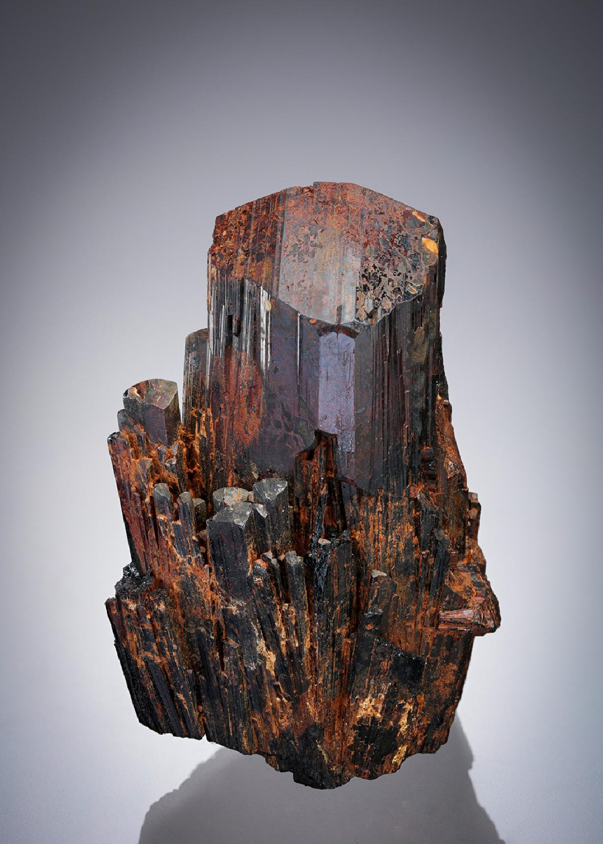 CC28201 specimen image