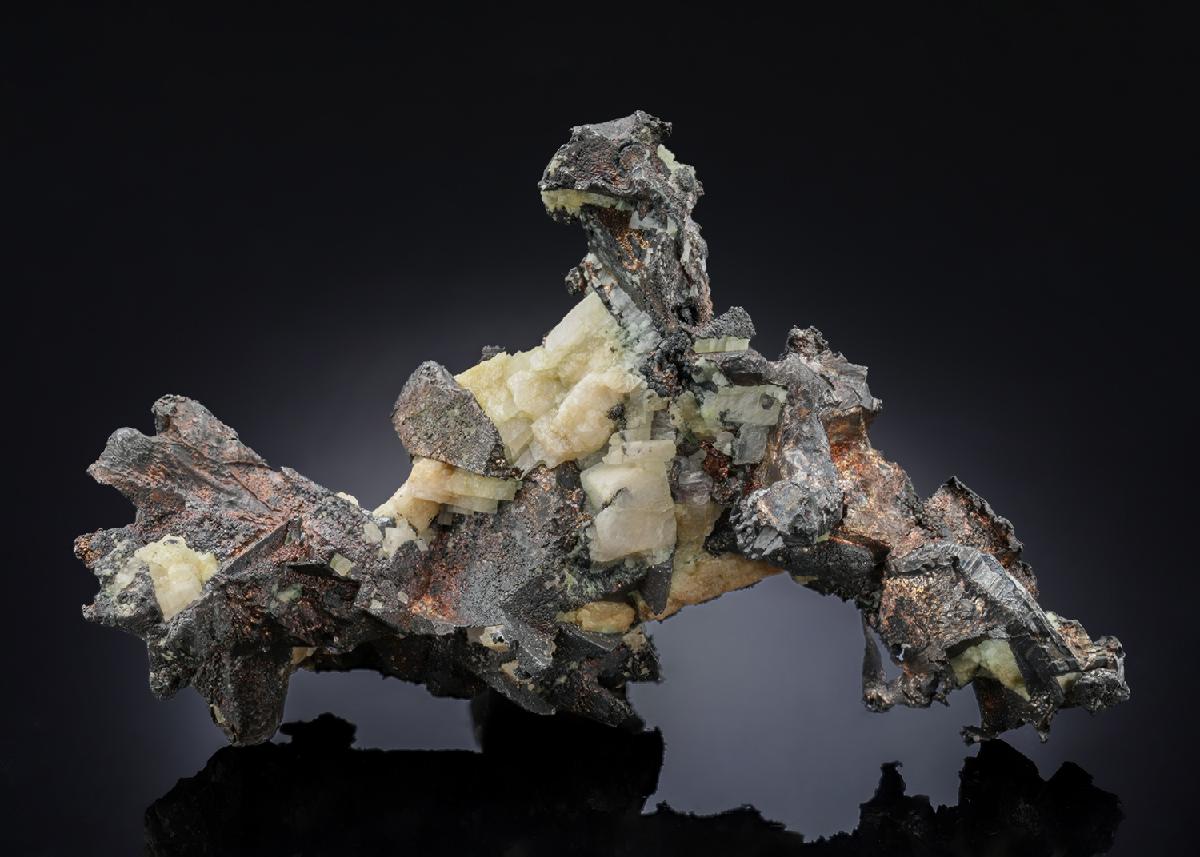 CC28205 specimen image