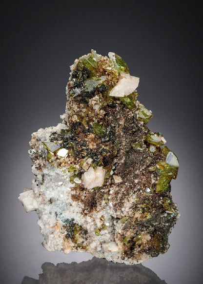 CC28209 specimen image