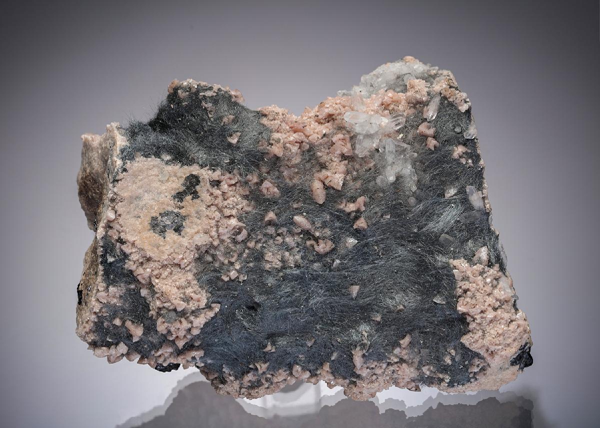 CC28215 specimen image