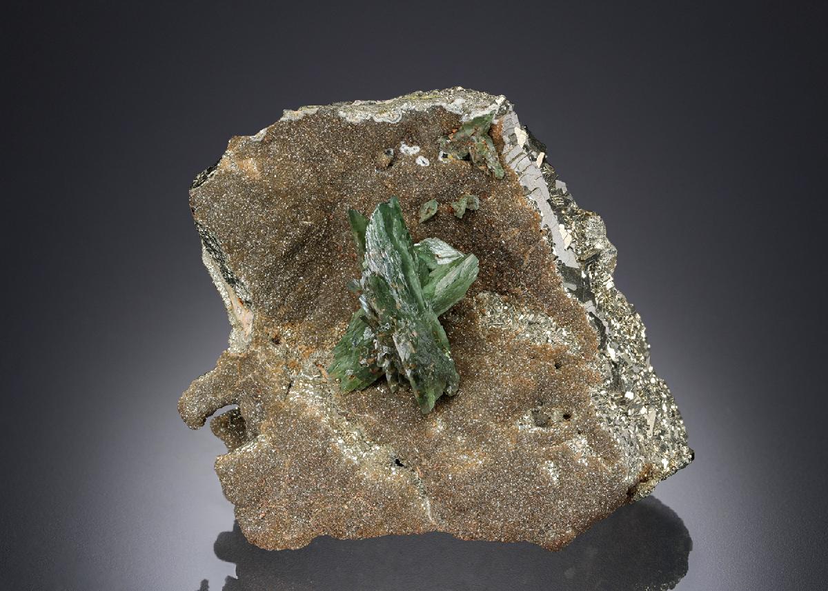 CC28217 specimen image