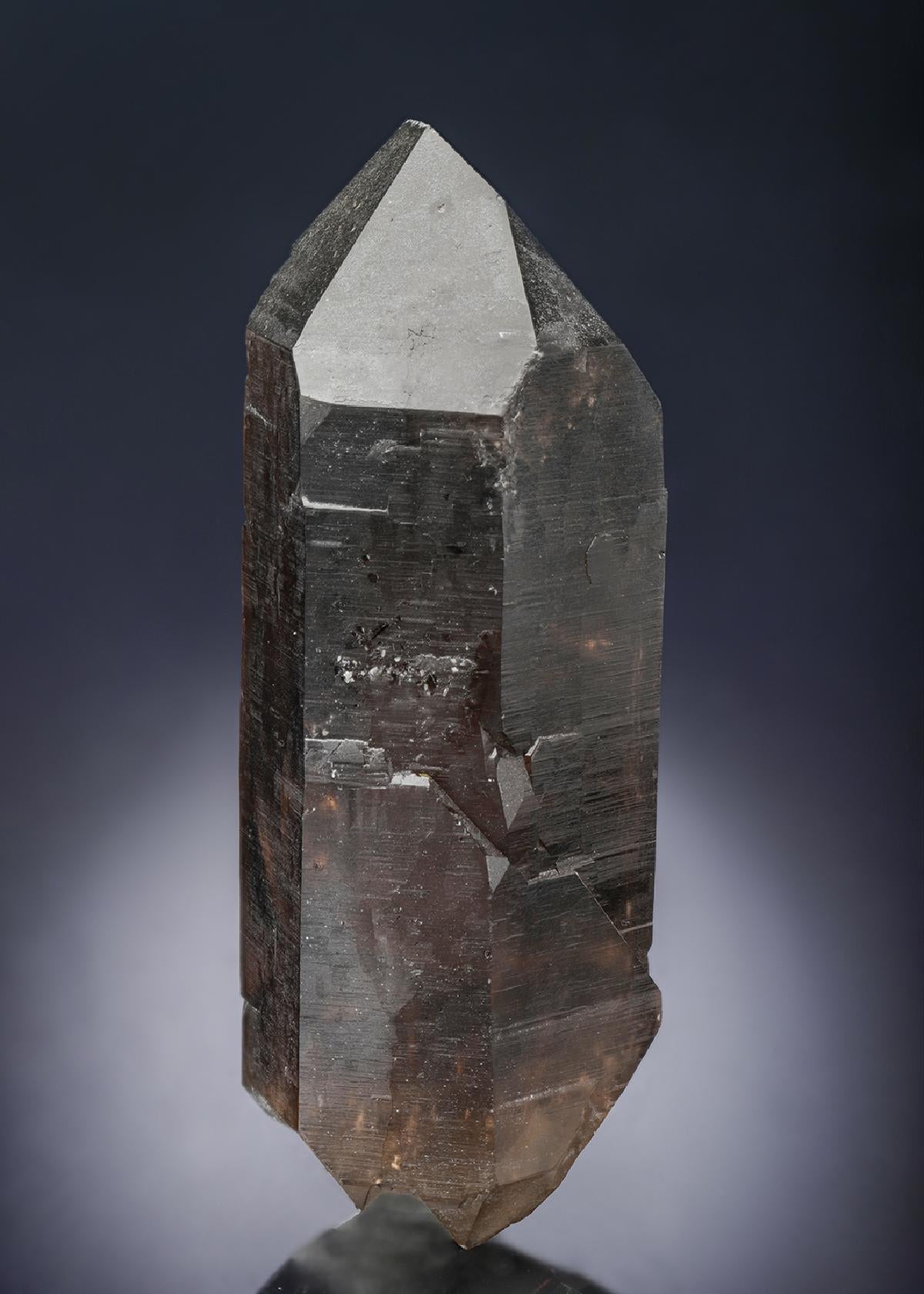 CC28227 specimen image