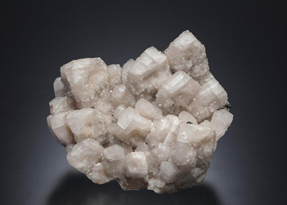 CC28231 specimen image