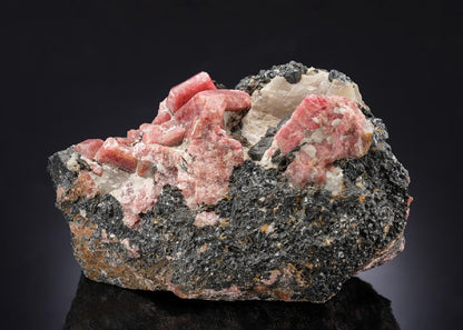 CC28237 specimen image