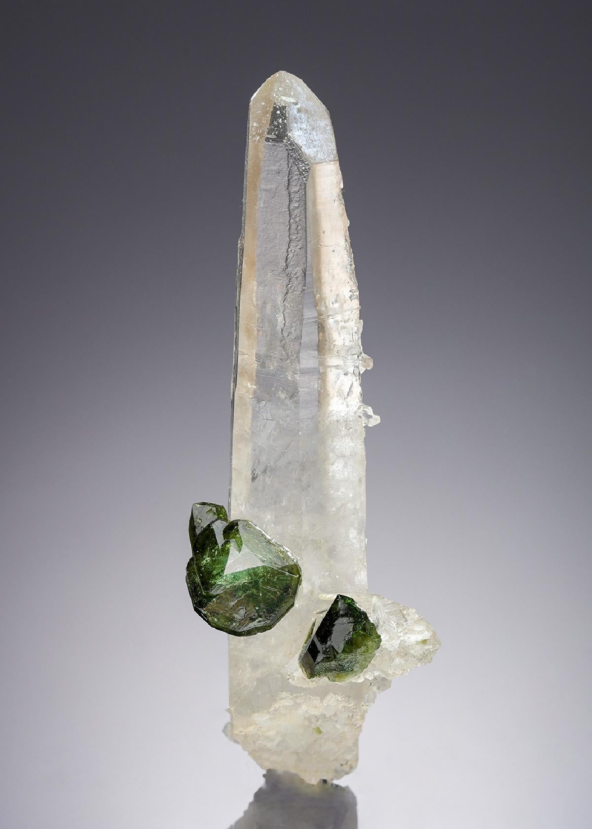 CC28239 specimen image