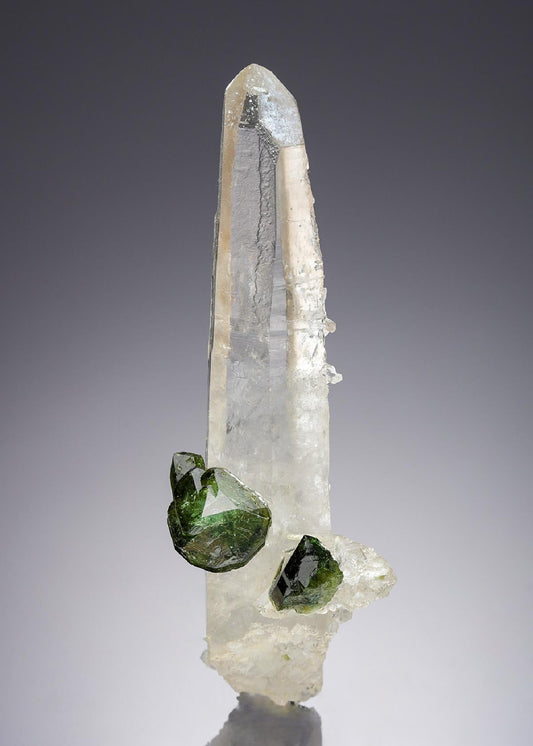 CC28239 specimen image