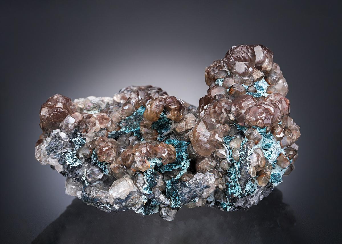 CC28247 specimen image