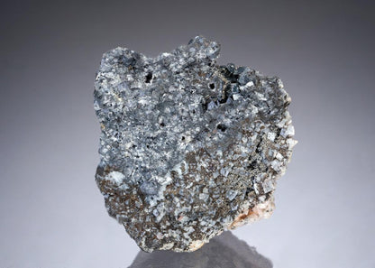 CC28257 specimen image