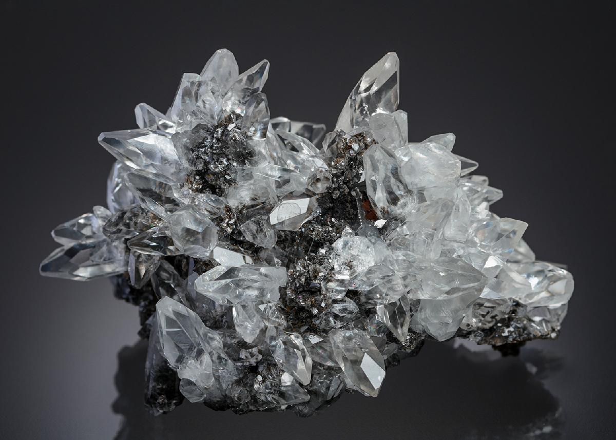 CC28261 specimen image