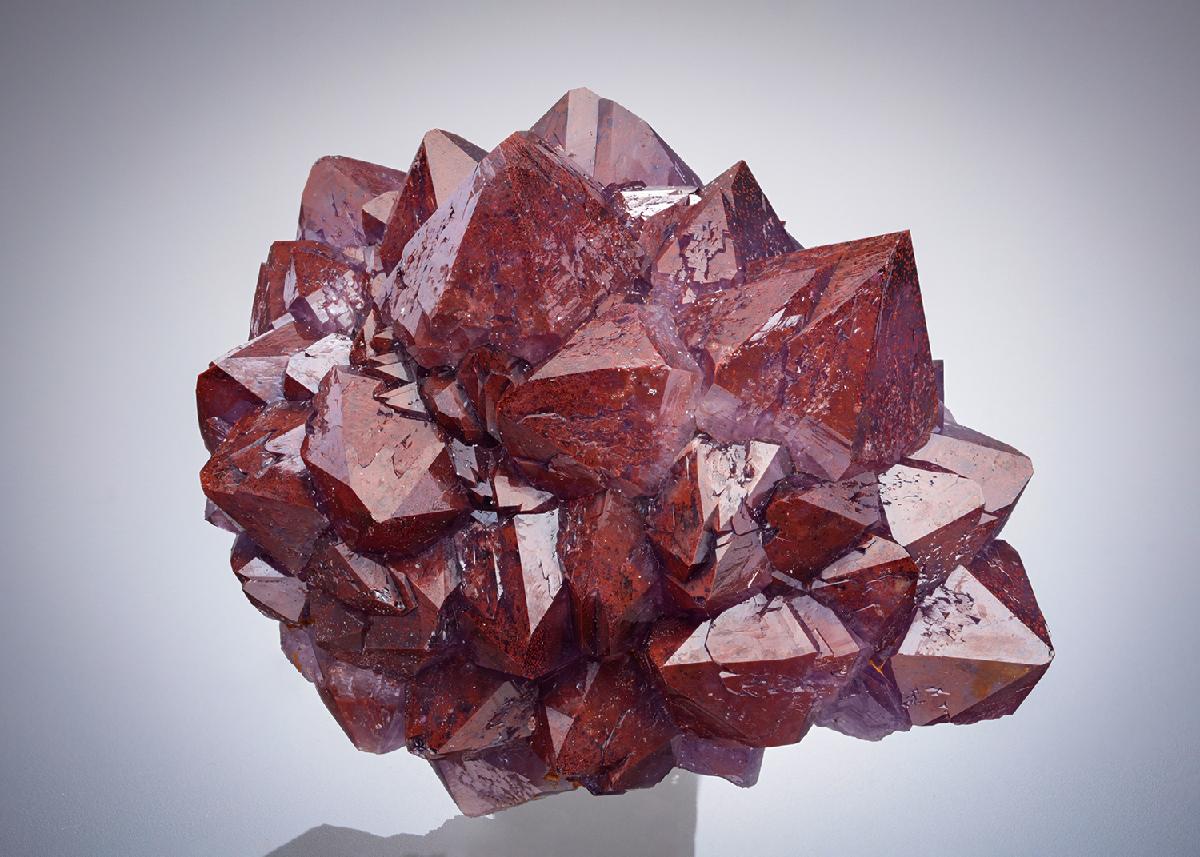 CC28263 specimen image