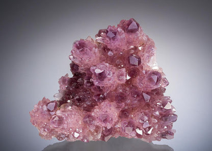 CC28265 specimen image