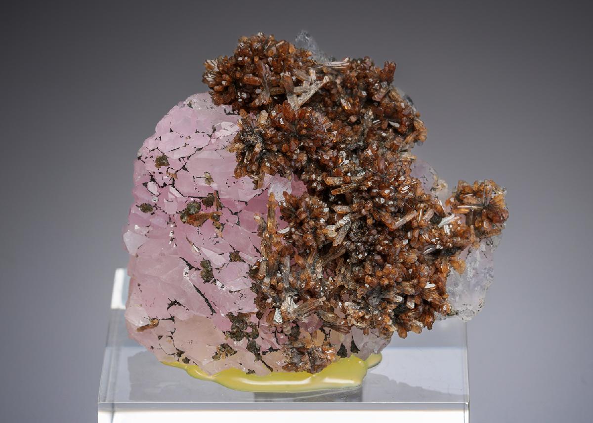 CC28267 specimen image