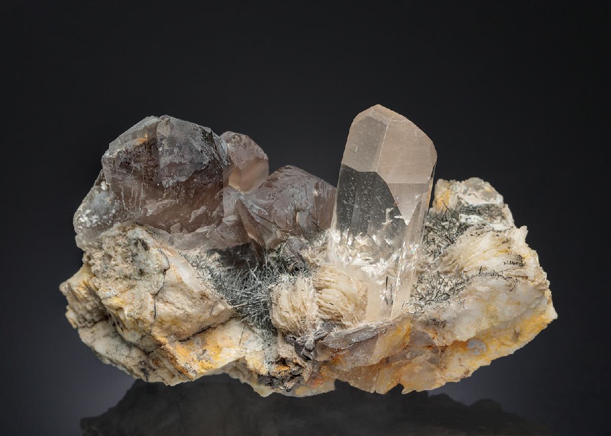 CC28269 specimen image