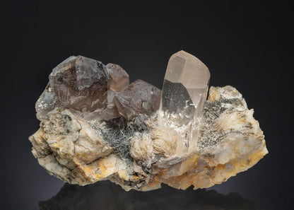 CC28269 specimen image