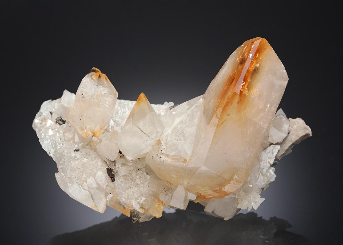 CC28271 specimen image