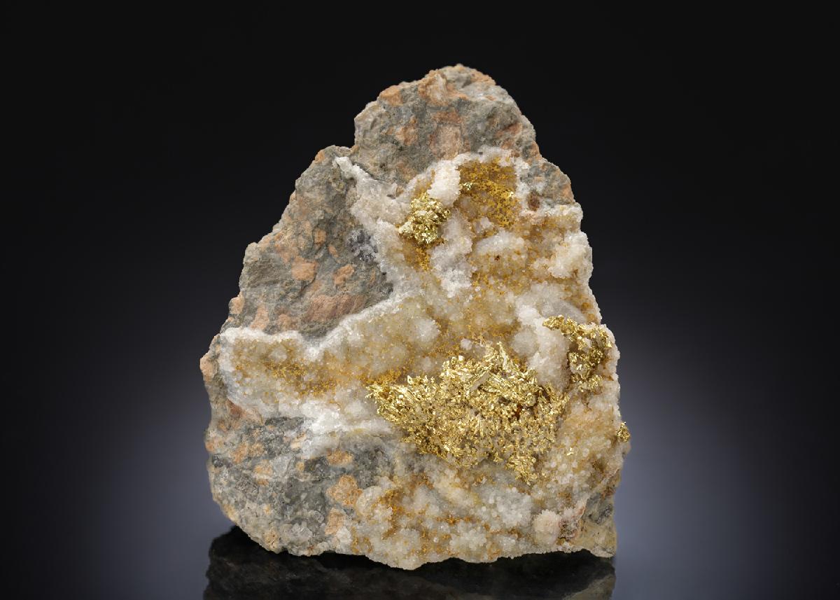 CC28273 specimen image