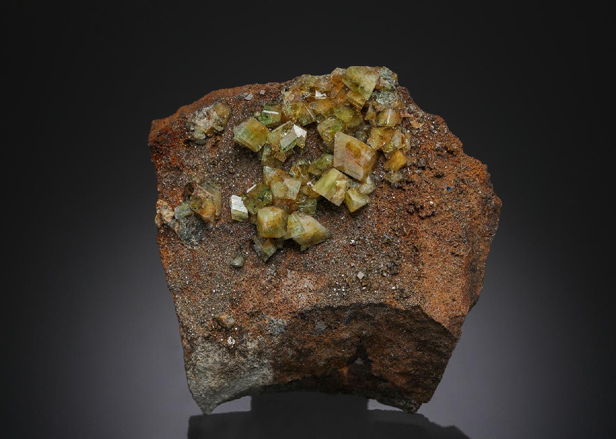CC28277 specimen image