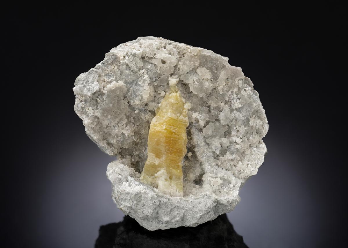 CC28279 specimen image