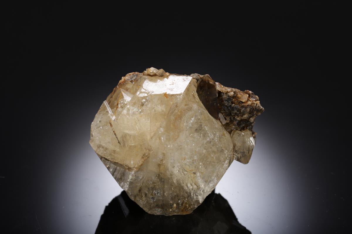 CC28283 specimen image