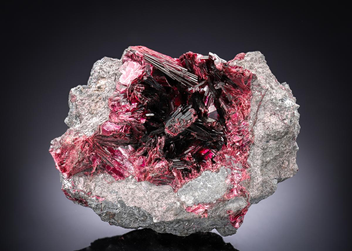 CC28285 specimen image