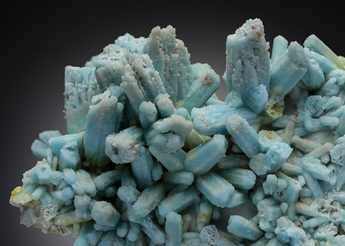 CC28287 specimen image