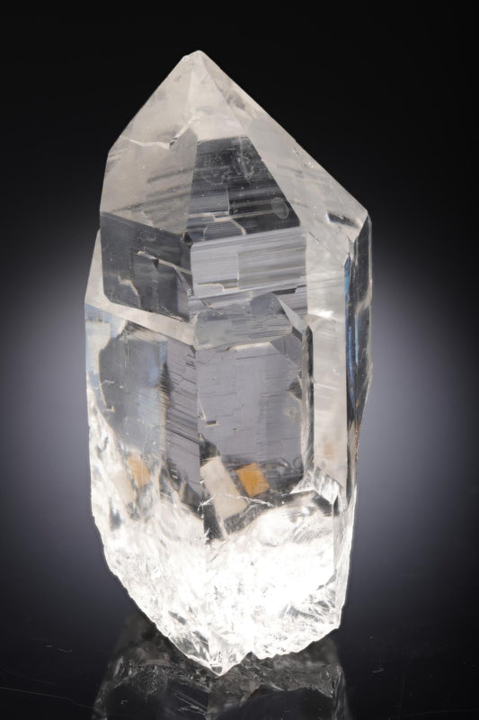 CC28291 specimen image