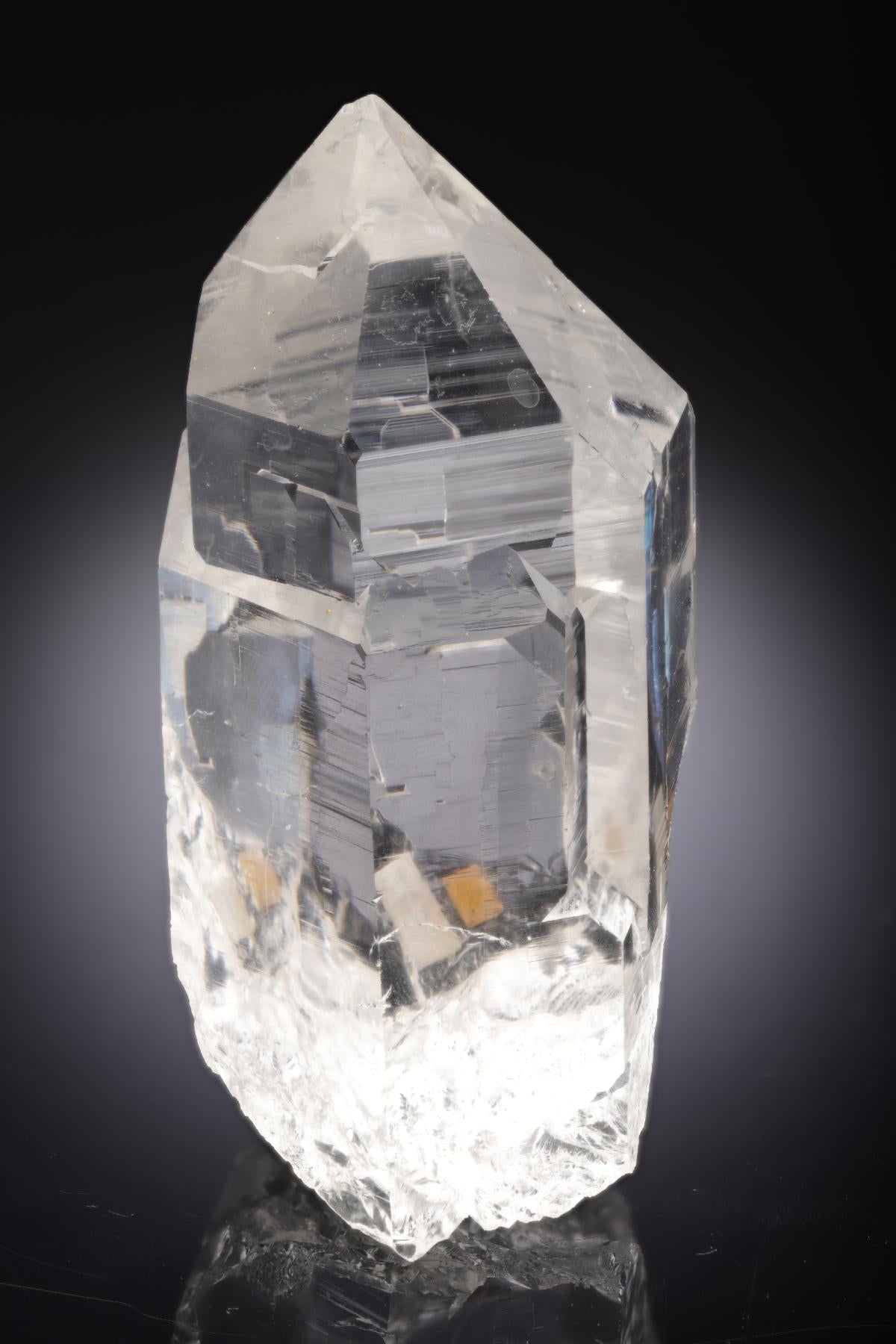 CC28291 specimen image