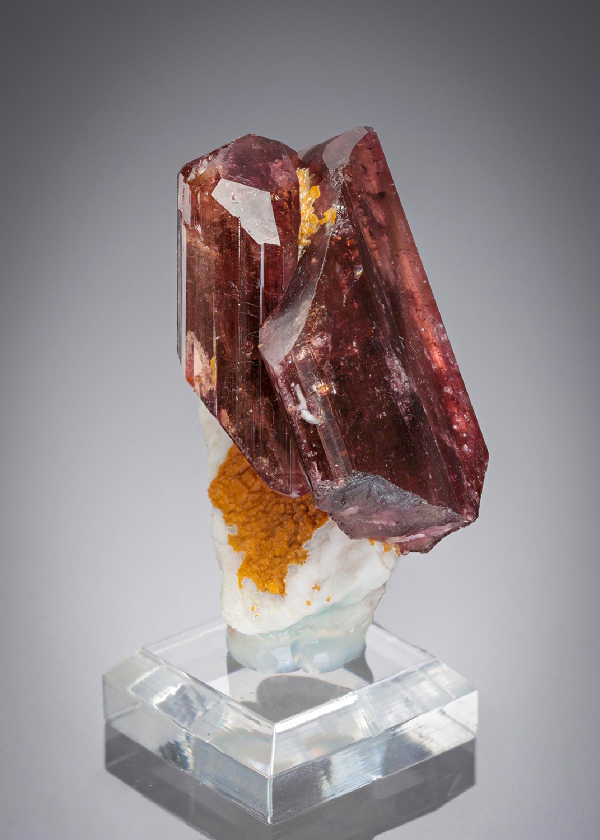 CC28293 specimen image