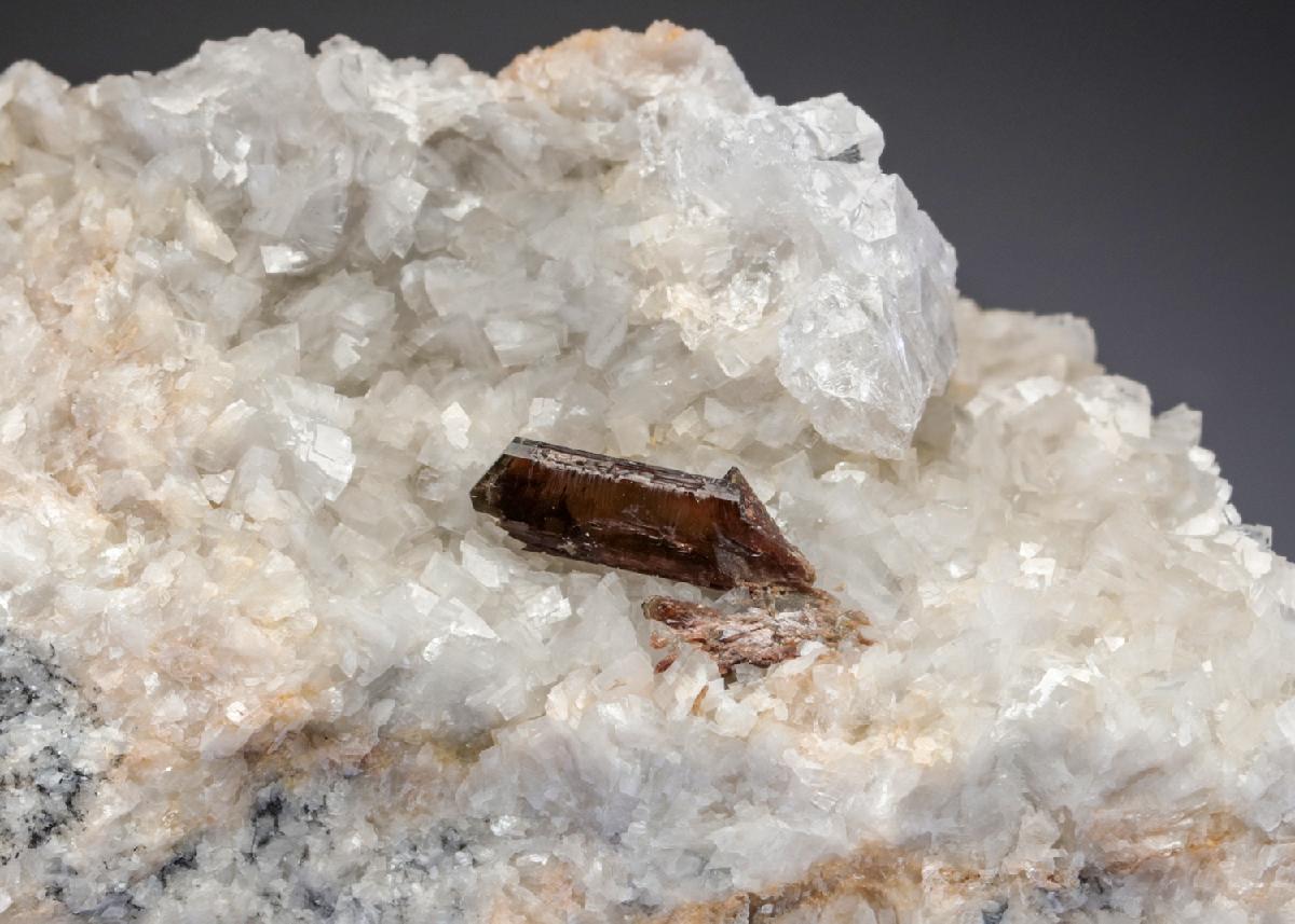 CC28307 specimen image