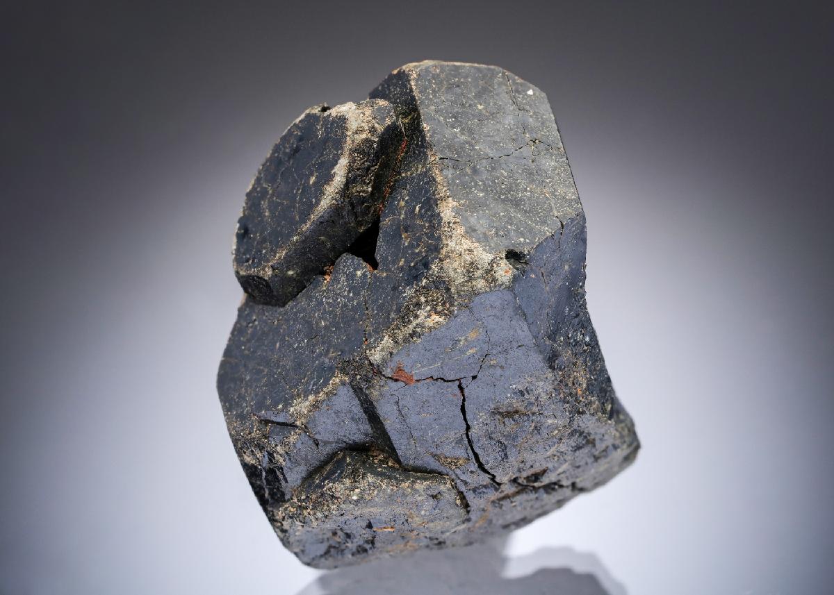 CC28309 specimen image