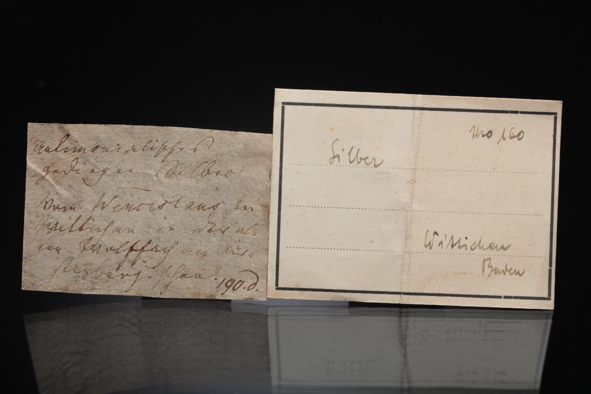 CC28311 specimen image