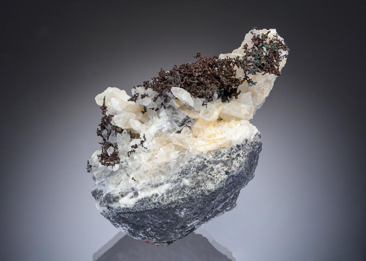 CC28315 specimen image