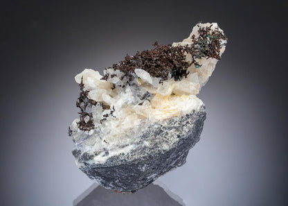 CC28315 specimen image
