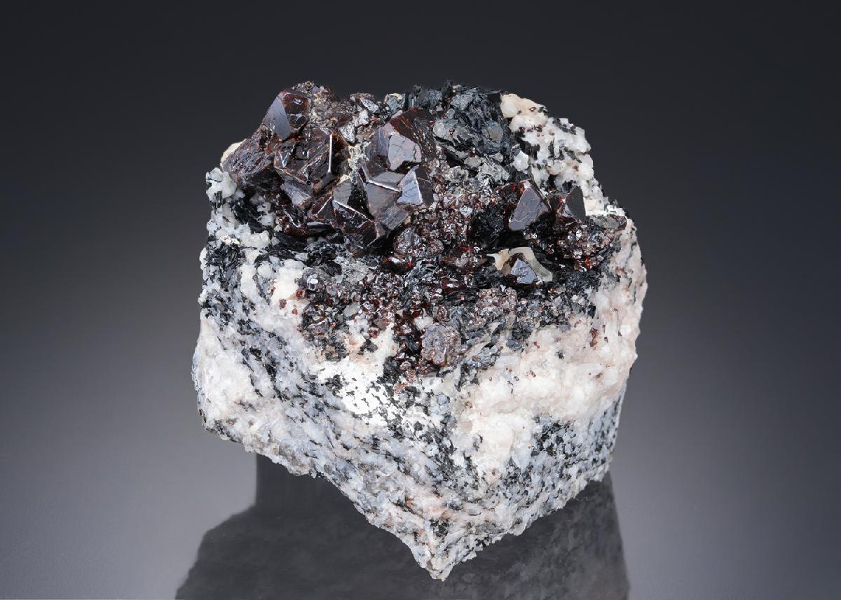 CC28323 specimen image